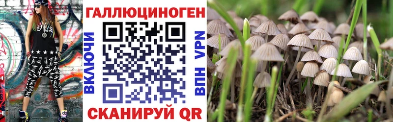 сколько стоит  Валуйки  Псилоцибиновые грибы Psilocybe 