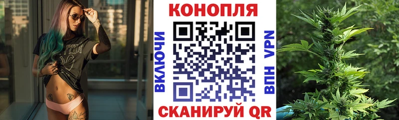 мега tor  маркетплейс Telegram  Бошки Шишки планчик  Валуйки 